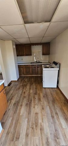 209 W Aldrich Street, Capac, MI 48014