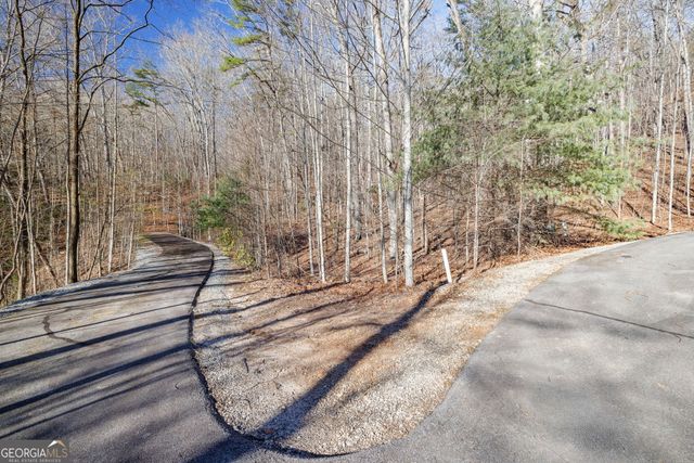 0 Forest Canopy Way 11, Clayton, GA 30525