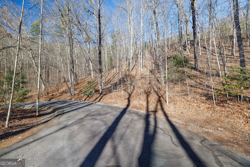 0 Forest Canopy Way 11, Clayton, GA 30525 — photo 3