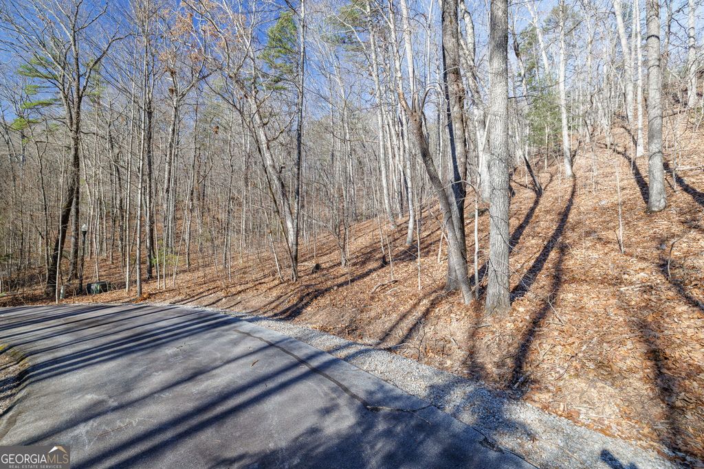 0 Forest Canopy Way 11, Clayton, GA 30525 — photo 4