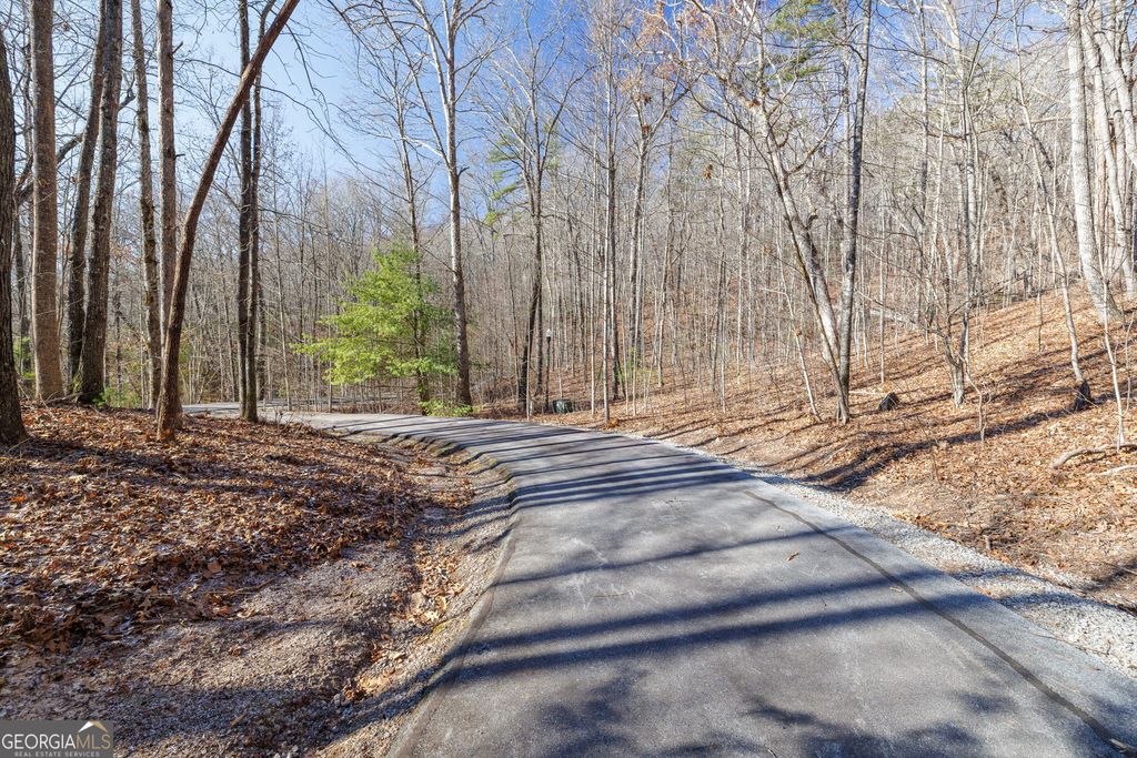 0 Forest Canopy Way 11, Clayton, GA 30525 — photo 5
