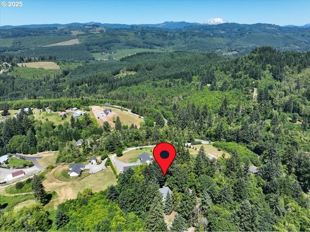 14900 Ne 399TH St, Amboy, WA 98601