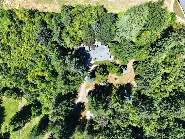 14900 Ne 399TH St, Amboy, WA 98601