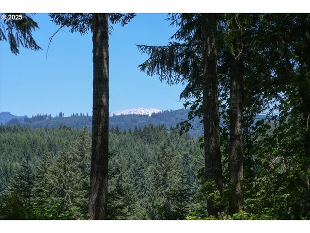 14900 Ne 399TH St, Amboy, WA 98601