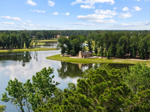 8022 Mckittrick Ridge Drive, Porter, TX 77365