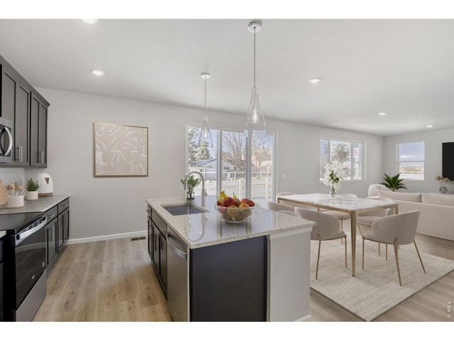 677 Noola St, Windsor, CO 80550