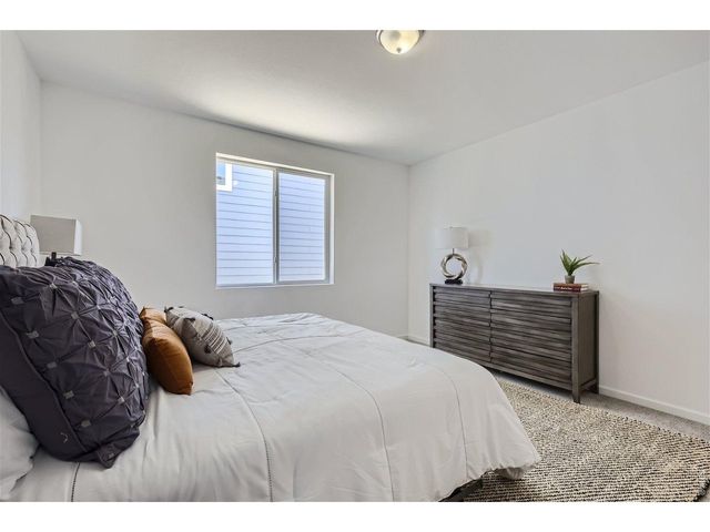 677 Noola St, Windsor, CO 80550
