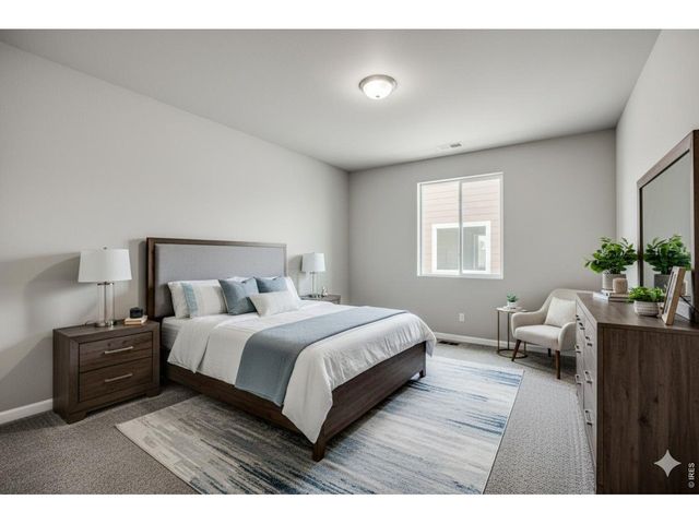 677 Noola St, Windsor, CO 80550