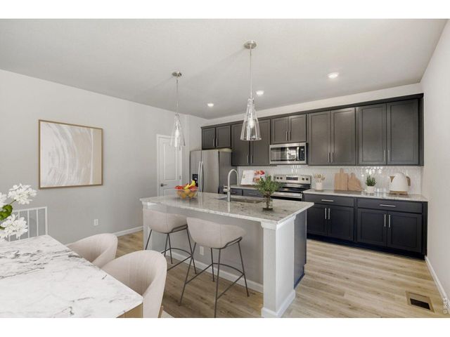 677 Noola St, Windsor, CO 80550