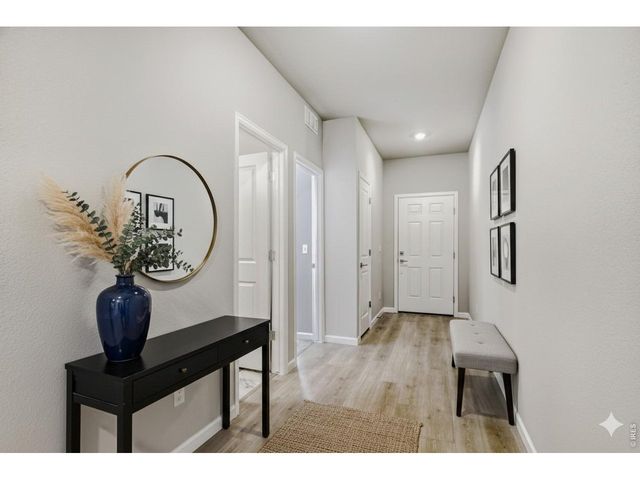 677 Noola St, Windsor, CO 80550