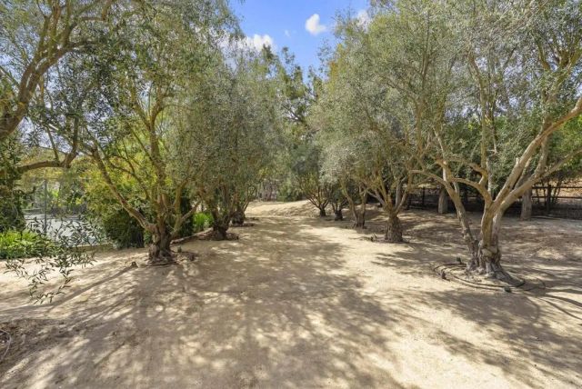 16560 El Camino Real, Rancho Santa Fe, CA 92067