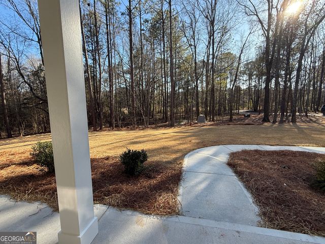 6.5 ACRES Williams Mill Road, Zebulon, GA 30295