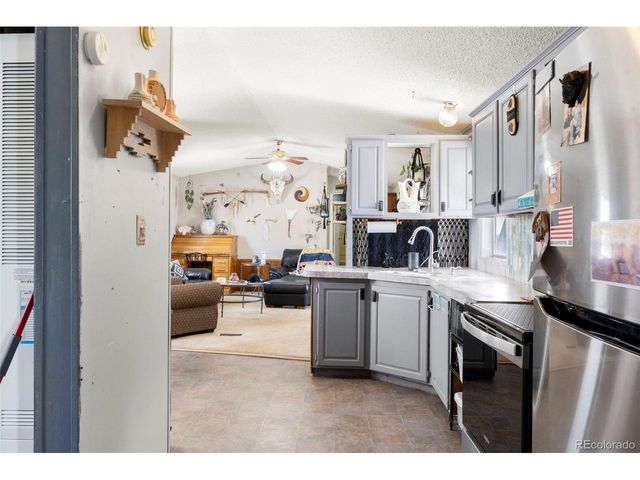 171 Star View Trl, Divide, CO 80814