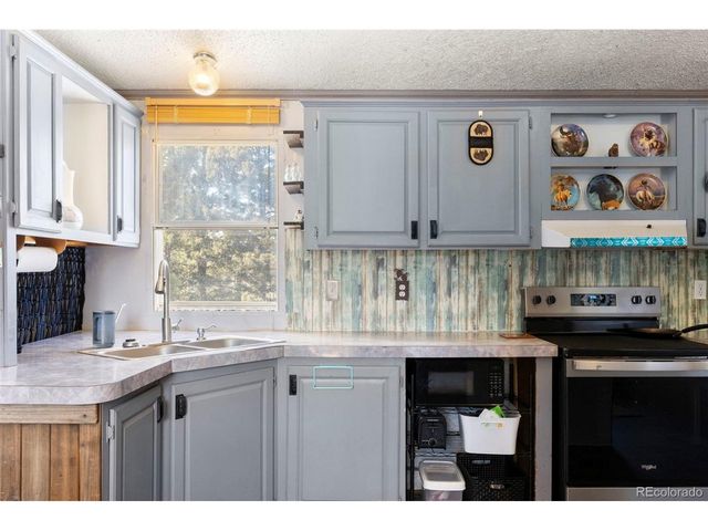 171 Star View Trl, Divide, CO 80814