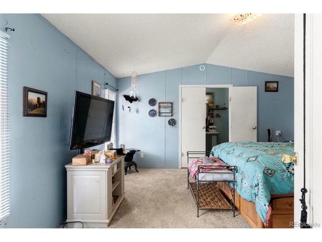171 Star View Trl, Divide, CO 80814