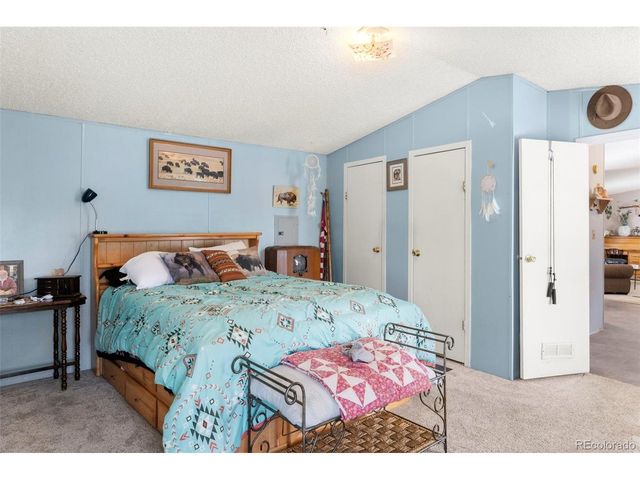 171 Star View Trl, Divide, CO 80814