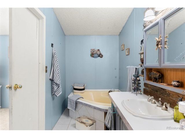 171 Star View Trl, Divide, CO 80814