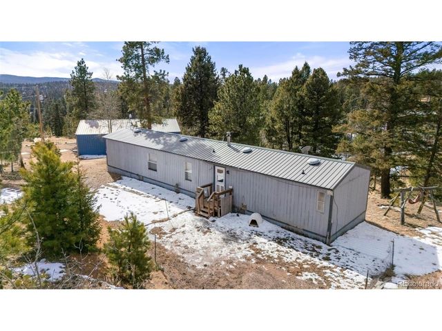 171 Star View Trl, Divide, CO 80814