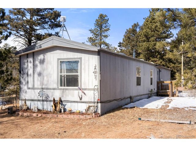 171 Star View Trl, Divide, CO 80814