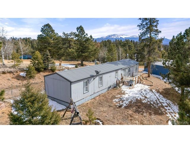 171 Star View Trl, Divide, CO 80814