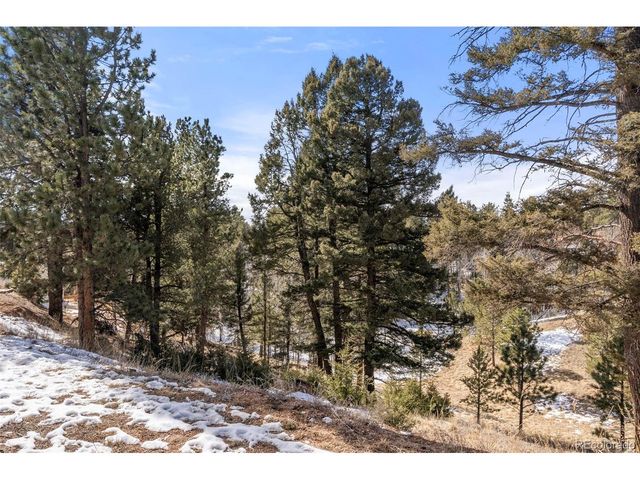 171 Star View Trl, Divide, CO 80814