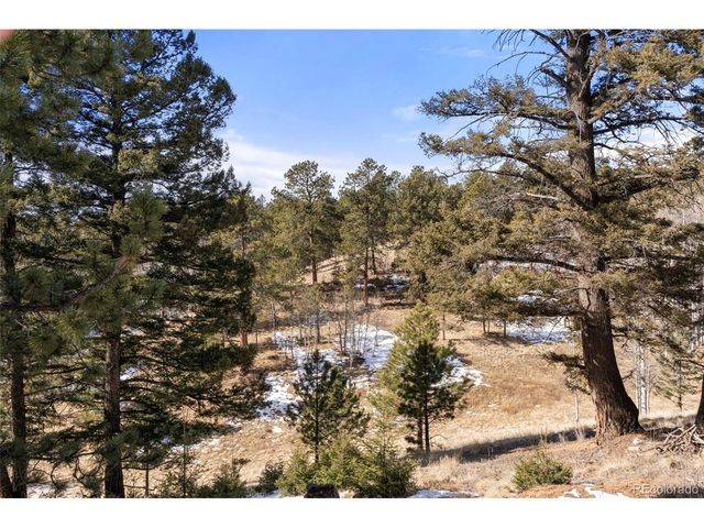 171 Star View Trl, Divide, CO 80814