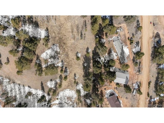 171 Star View Trl, Divide, CO 80814