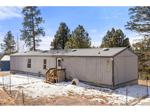 171 Star View Trl, Divide, CO 80814
