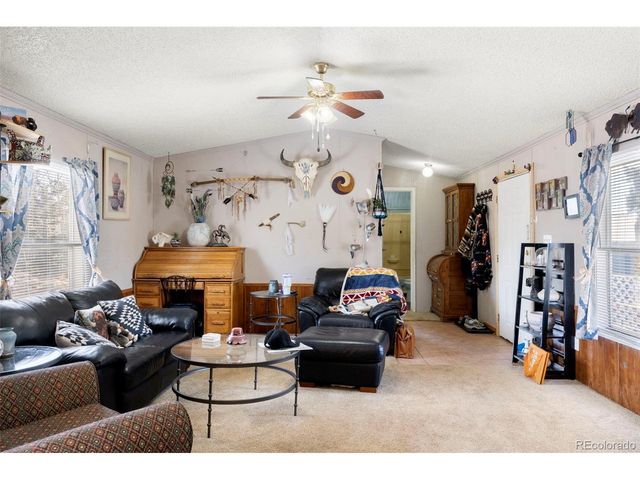 171 Star View Trl, Divide, CO 80814