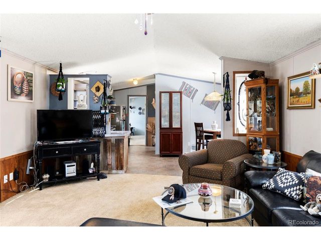 171 Star View Trl, Divide, CO 80814
