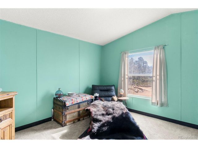 171 Star View Trl, Divide, CO 80814