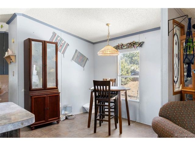 171 Star View Trl, Divide, CO 80814