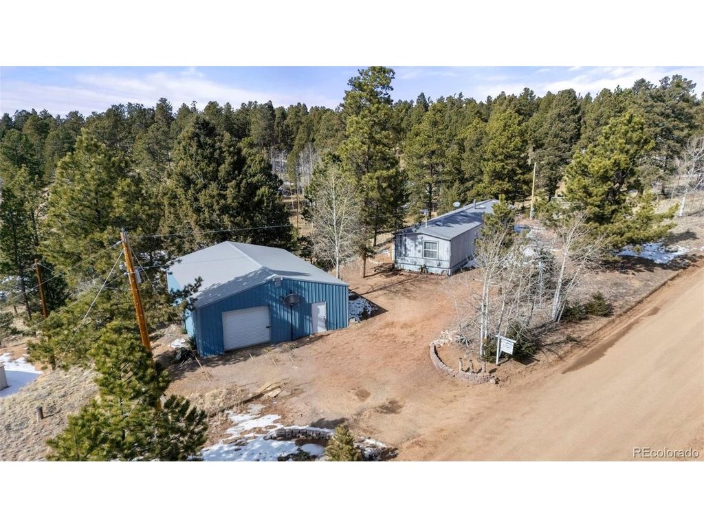 171 Star View Trl, Divide, CO 80814