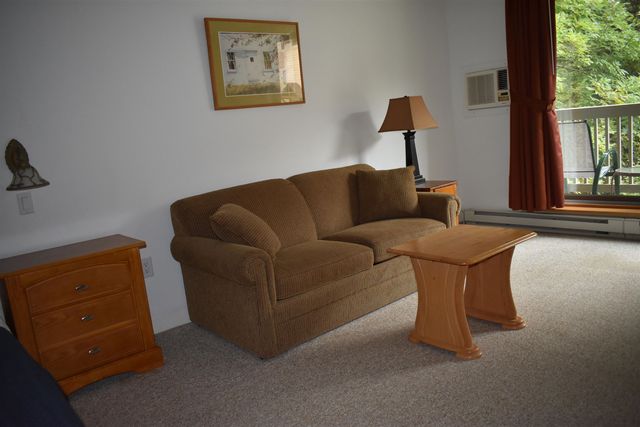 13 Villamarksauna 13, Cambridge, VT 05464