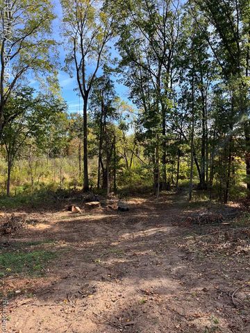 0000 Old Mill Road, Pinckney, MI 48169