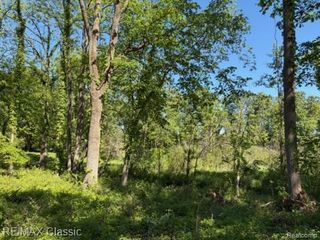 0000 Old Mill Road, Pinckney, MI 48169