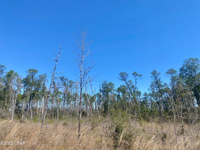 50 acres NW Sellers Road, Bristol, FL 32321