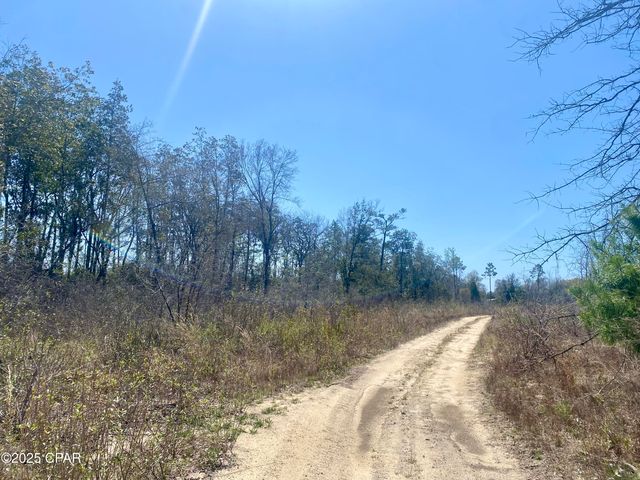 50 acres NW Sellers Road, Bristol, FL 32321