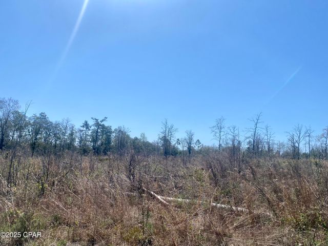 50 acres NW Sellers Road, Bristol, FL 32321