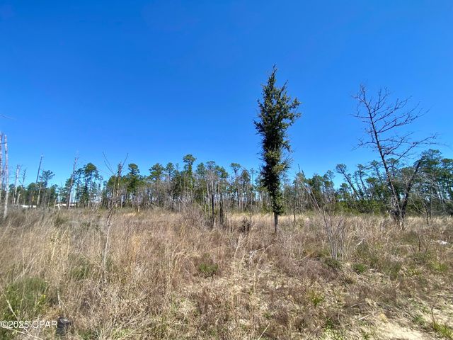 50 acres NW Sellers Road, Bristol, FL 32321