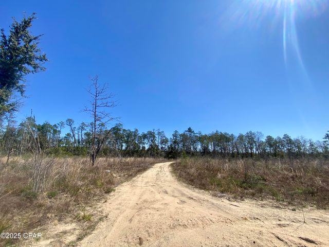 50 acres NW Sellers Road, Bristol, FL 32321