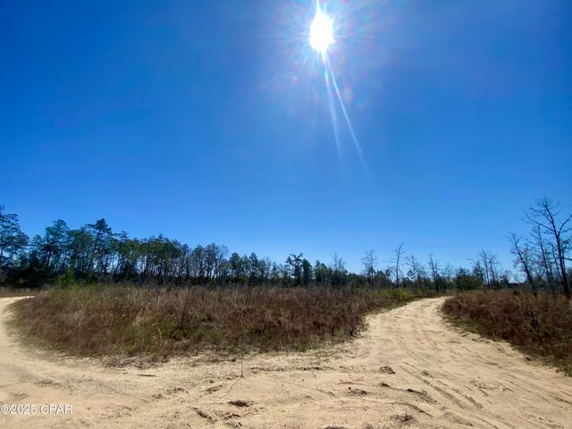 50 acres NW Sellers Road, Bristol, FL 32321