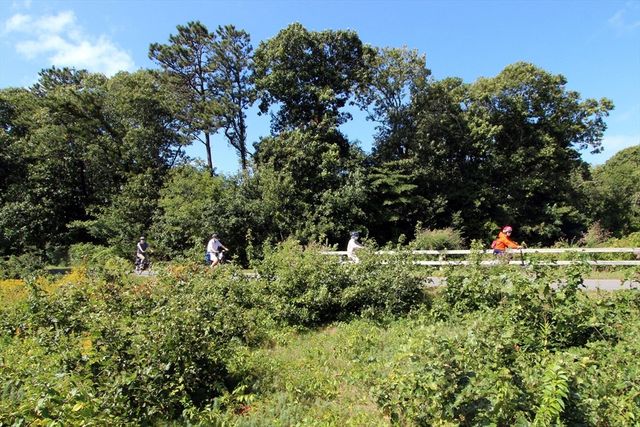 36 Old Colony Way 21, Orleans, MA 02653