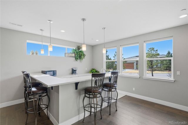 1198 Lost Elk Loop, Castle Rock, CO 80108