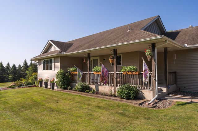 25294 Redwing Avenue, Shafer, MN 55074