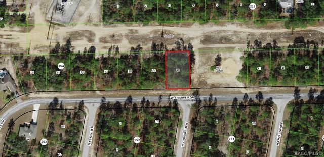 2905 W Sharpes Drive, Citrus Springs, FL 34433