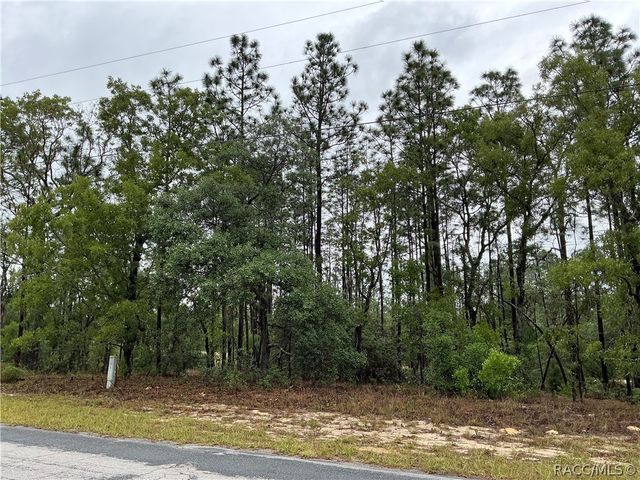2905 W Sharpes Drive, Citrus Springs, FL 34433
