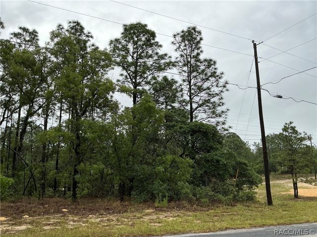 2905 W Sharpes Drive, Citrus Springs, FL 34433