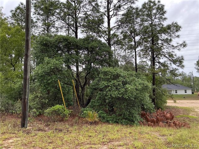 2905 W Sharpes Drive, Citrus Springs, FL 34433