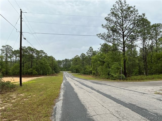 2905 W Sharpes Drive, Citrus Springs, FL 34433